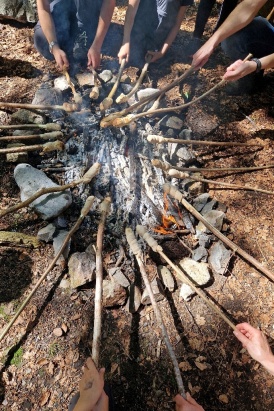 Neulich im Horgner Wald